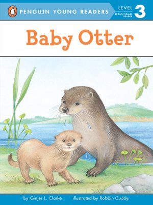 cover image of Baby Otter